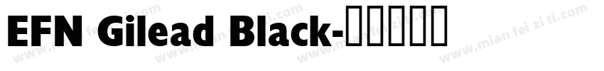 EFN Gilead Black字体转换
